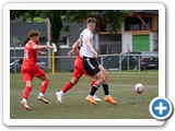 Landesliga St. 3 * Saison 2023/2024 * 26.08.2023 * FC Neustadt - SV Geisingen  0:1 (0:1)