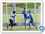 Landesliga St. 3 * Saison 2023/2024 * 07.10.2023 * Hegauer FV - FC Neustadt 3:6 (2:3)