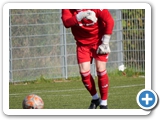 Landesliga St. 3 * Saison 2023/2024 * 07.10.2023 * Hegauer FV - FC Neustadt 3:6 (2:3)