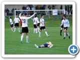 Landesliga St. 3 * Saison 2024/2025 * 28.05.2025 * SG Dettingen-Ding. - FC Neustadt  1:2 (0:2)