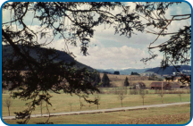 Hier befindet sich heute das Jahn-Stadion.  (Bild: Werner Käß)